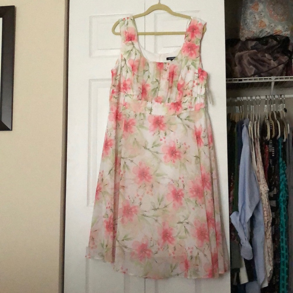 Roz&Ali cute floral dress.